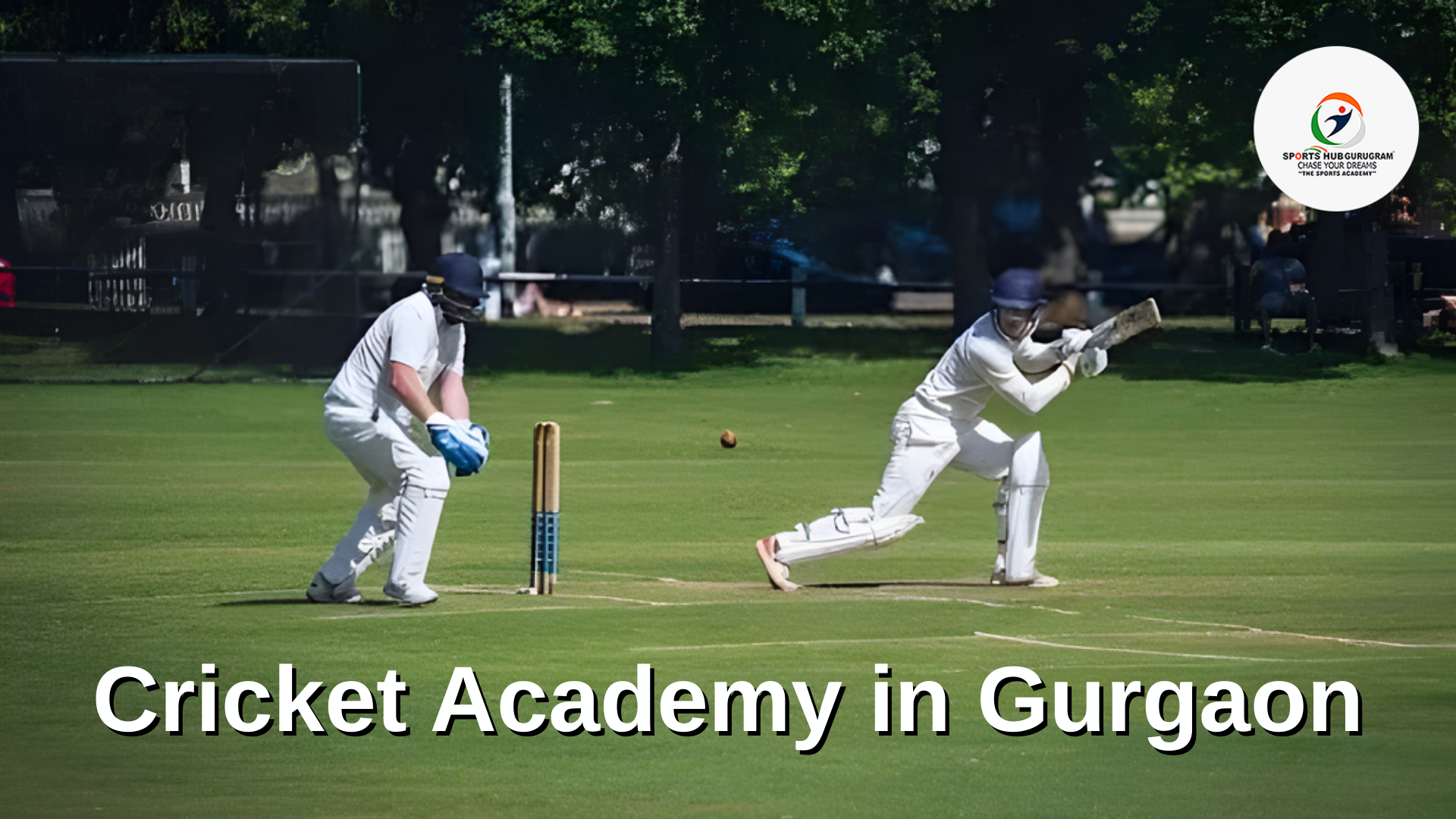 #1 Cricket Academy in Gurgaon